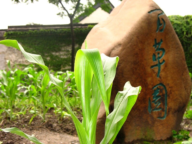 鲁迅纪念馆－百草园 摄影 ashi