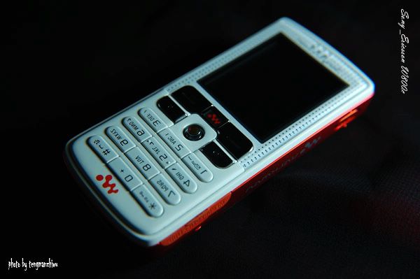 Sony_Ericsson W800c> 摄影 藤蔓植物