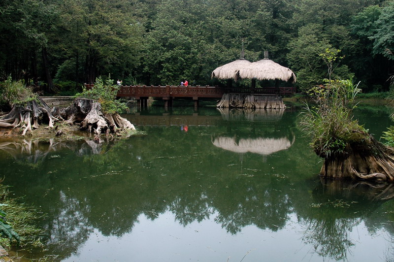 阿里山姐妹潭风景 摄影 qrk