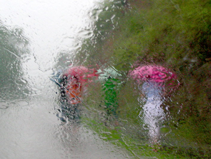 路边偶得--雨天印象 摄影 综艺之光