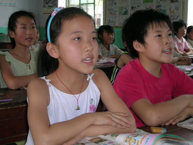 渴望 摄影 花尽尘香