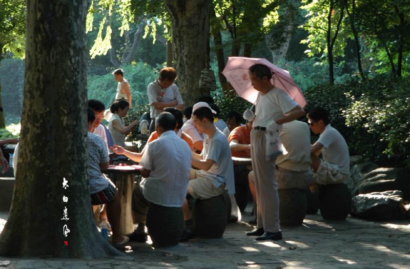 悠闲的退休生活 摄影 太白遗风