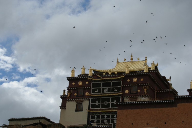 松赞林寺 摄影 七溪六幺幺