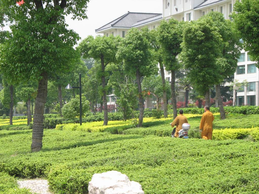 僧人 摄影 圆圆妹