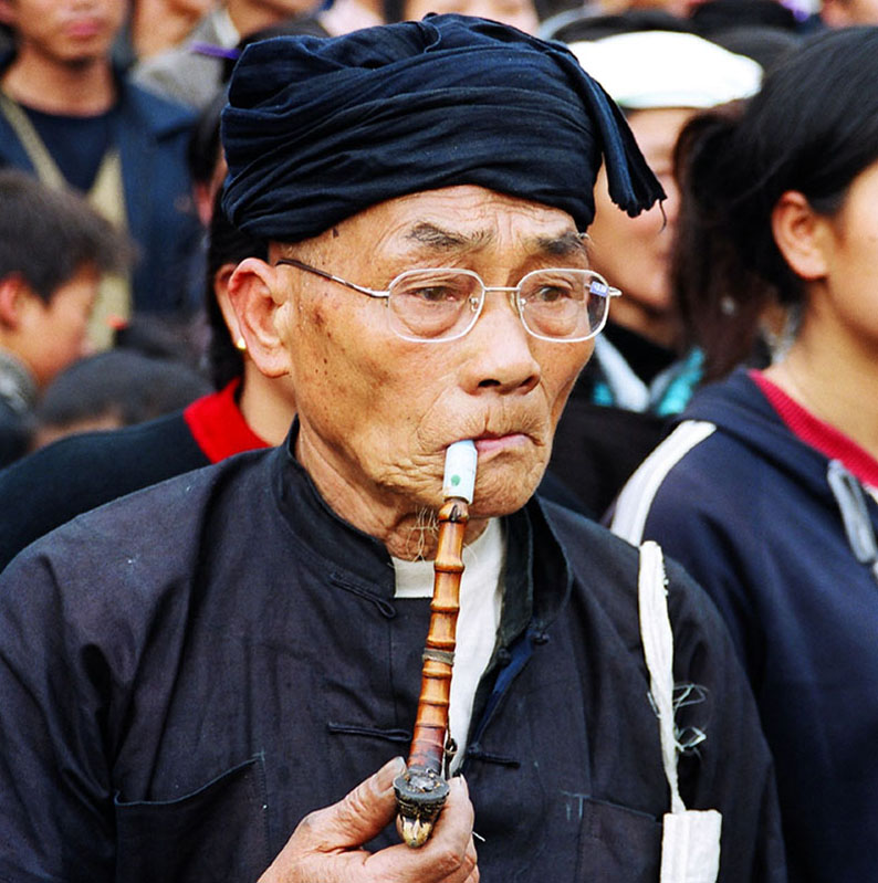 ．．． 摄影 林中翠鸟