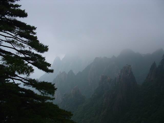 黄山--1 摄影 甲壳