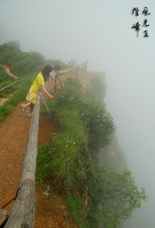 悬崖边的小花 摄影 风光在险峰