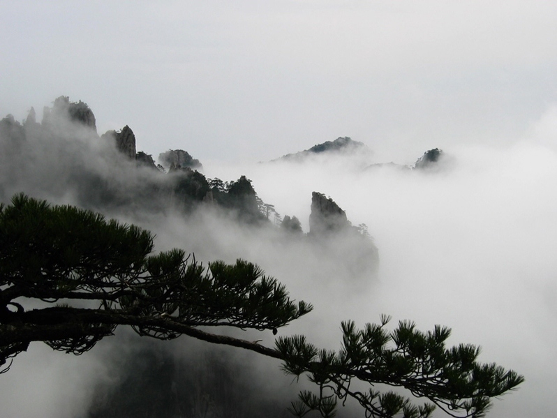 黄山烟云 摄影 老残