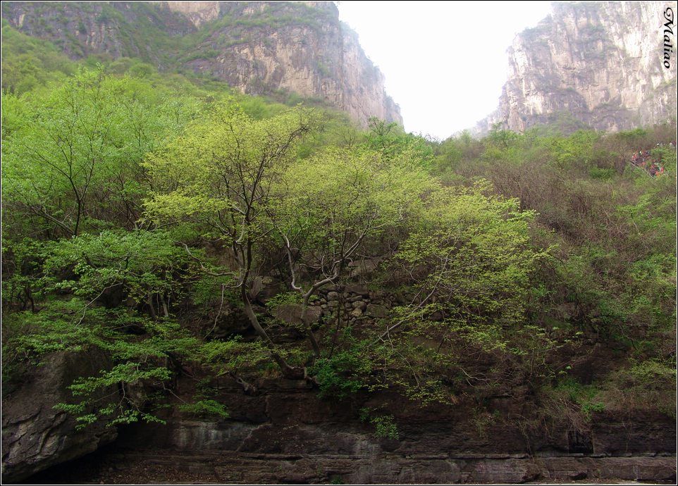 49.云台山·春回云台山 摄影 马里奥MALIAO