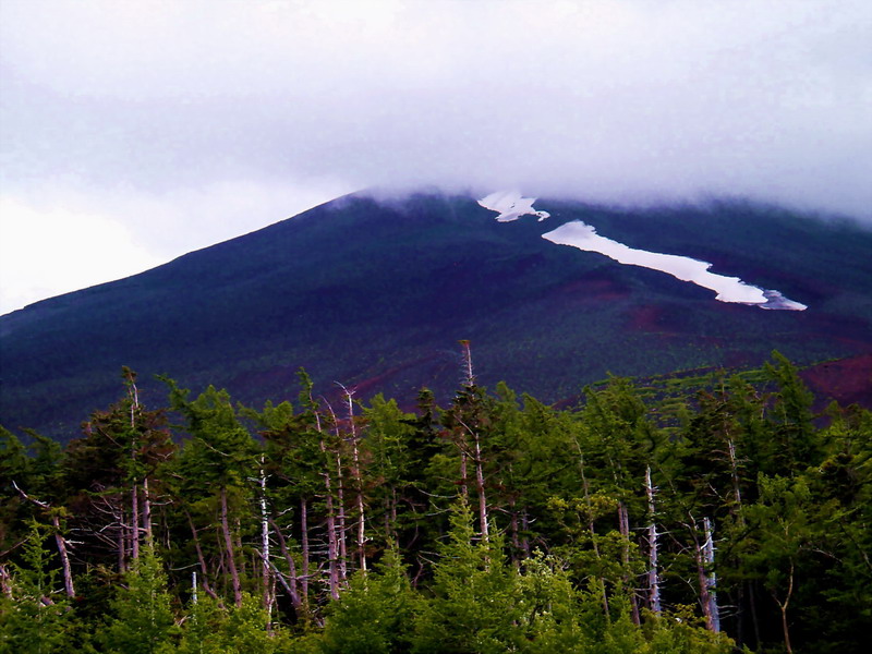 7月的富士山. 摄影 段小玲