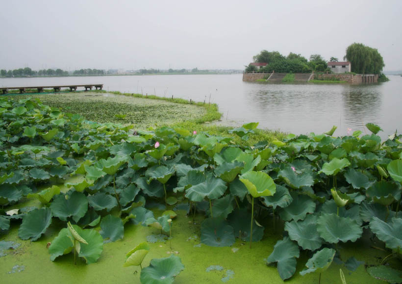 水乡泽国 摄影 碧螺新雨