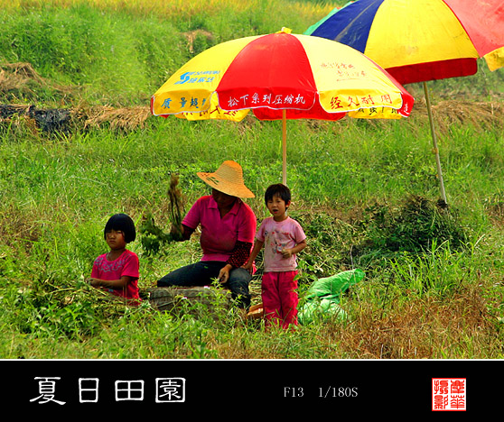 夏日田园-2 摄影 肖庆华