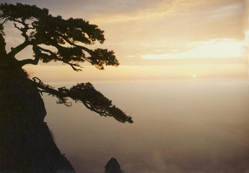 庐山风光 摄影 山里影