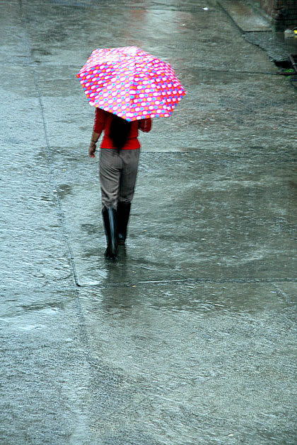 雨中行 摄影 清江源