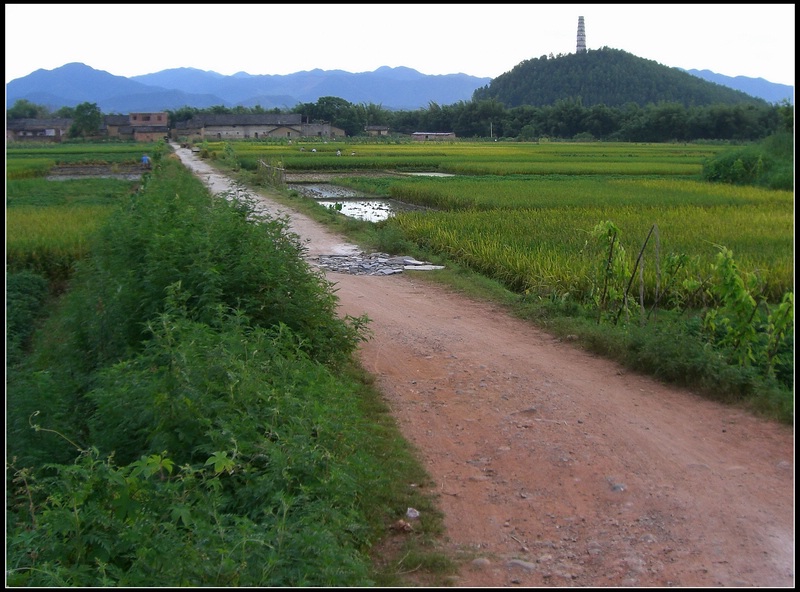 乡村小道（二） 摄影 风平浪静