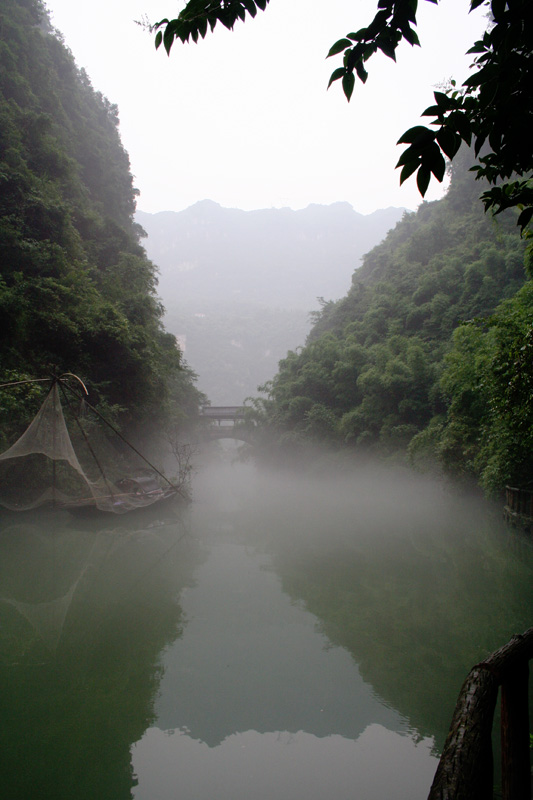 杨家溪的雾 摄影 雨中百合