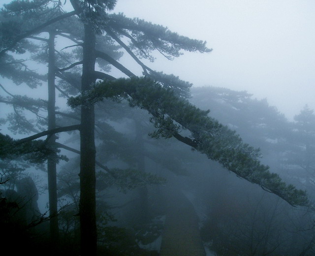 黄山--6--若隐若现的山中小道 摄影 小琳琳