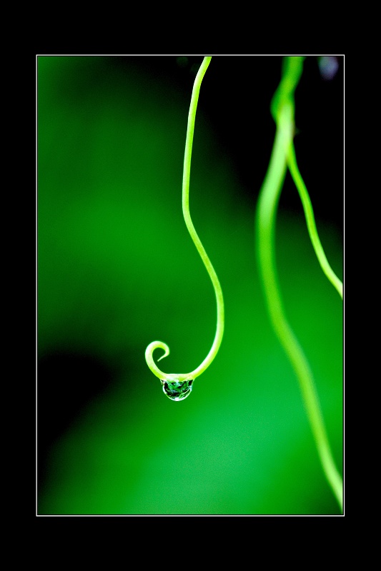 雨后的宁静 摄影 光影人