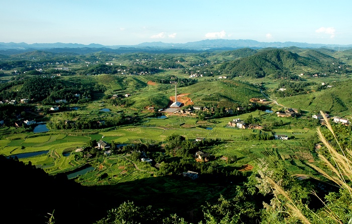 田园 摄影 秋枫叶