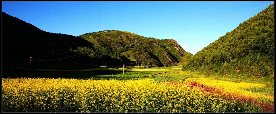 路边即景 摄影 北京咖啡心情