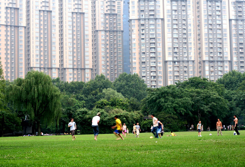 绿荫场上 摄影 春捂秋冻