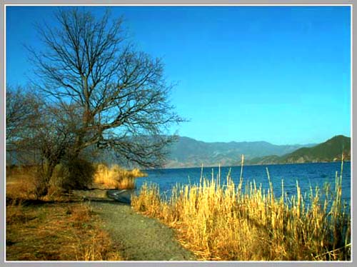 湖边一景 摄影 黑色的眼睛