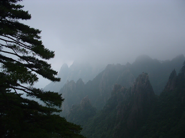 黄山--4 摄影 甲壳