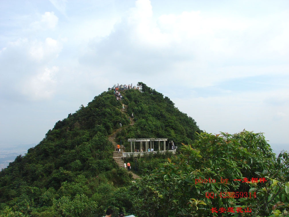 莲花山 摄影 一生相伴