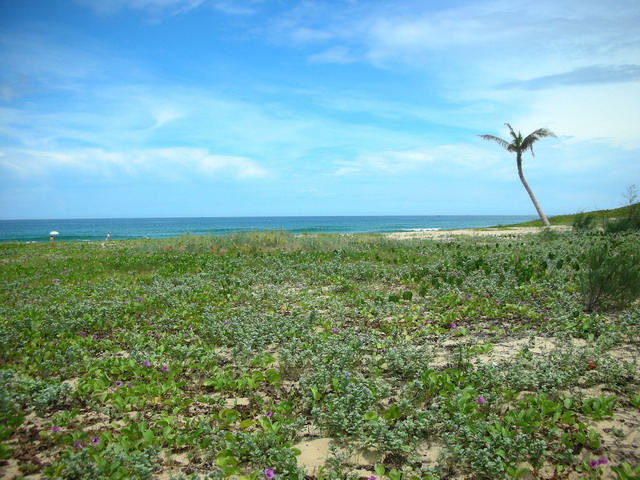 海南香水湾 摄影 杨芸秀和