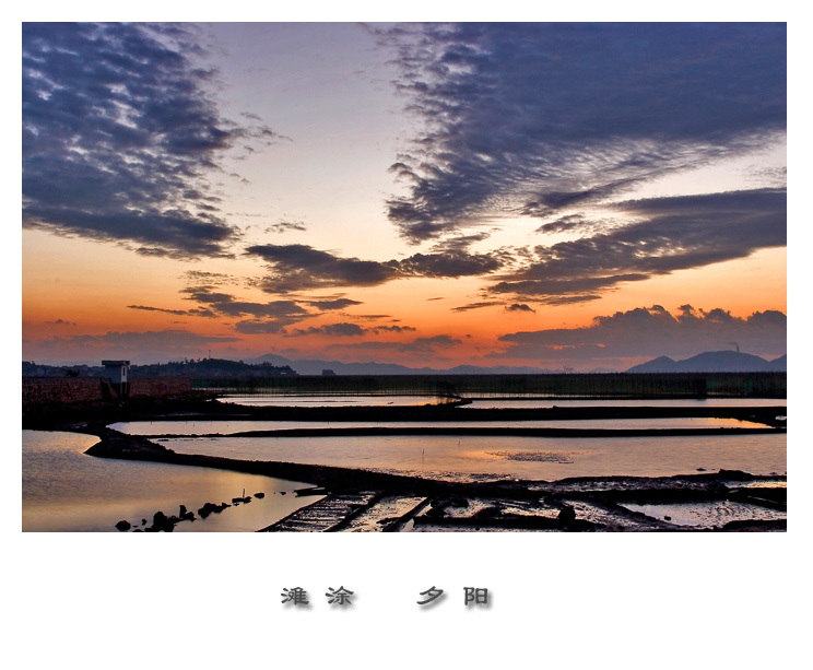 滩涂。夕阳 摄影 四明大仙