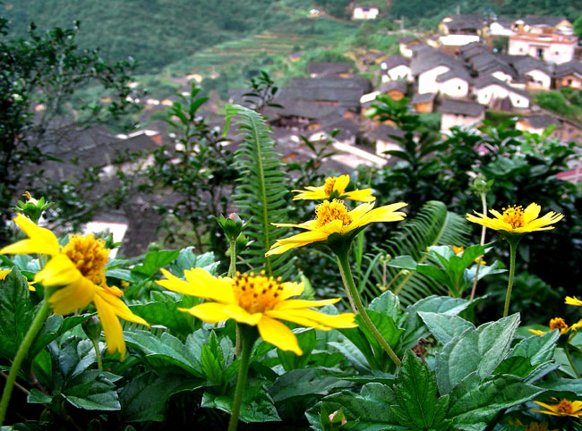 美丽山村 摄影 综艺之光