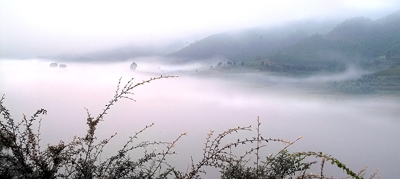 雾景 摄影 砚华