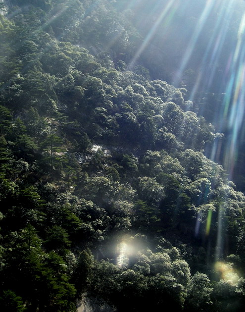 黄山-14--"太阳雨" 摄影 小琳琳