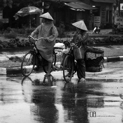 雨 摄影 蚂蟥