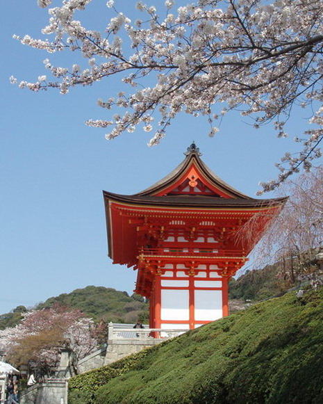 清水寺樱花 摄影 百工居肆