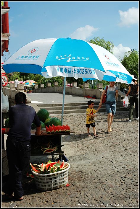 夏日【洲桥】 摄影 瓜田李下