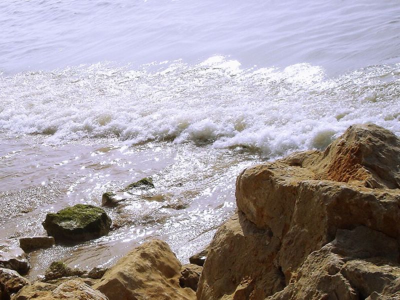 浪淘尽 摄影 野地的花