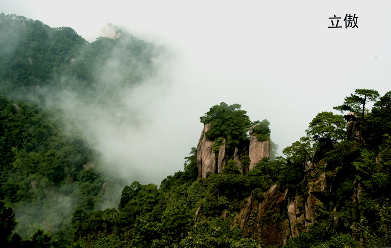 九华山 摄影 纸虎