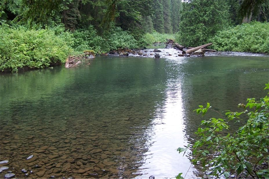 manning park bc canada 摄影 bingxin