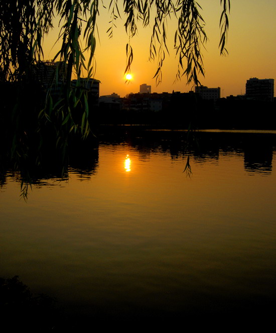 夕阳西下 摄影 欲我所欲也