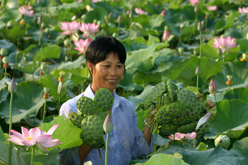 丰收的喜悦 摄影 时颖