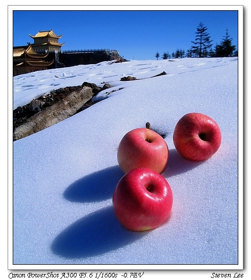 Apples on snow 摄影 Fragile