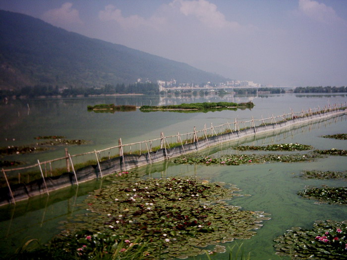 草海 摄影 兰野苓