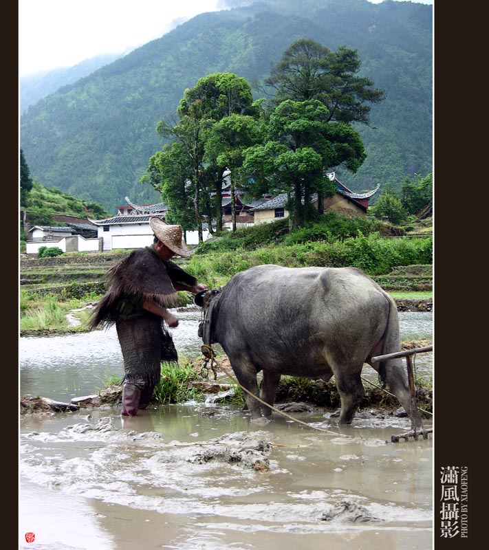 耕2 摄影 潇风