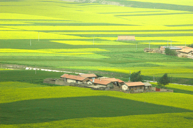 扁都口风光 摄影 weixianghua