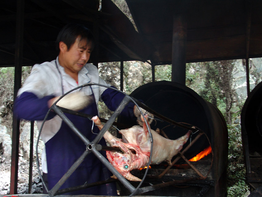 粗犷饮食－烤全羊 摄影 松峤一岛