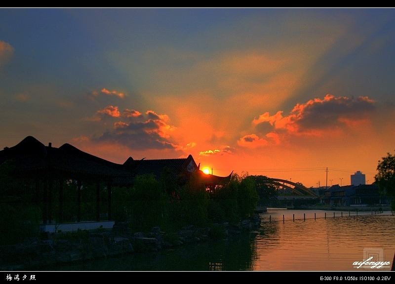 梅湾夕照 摄影 爱枫叶