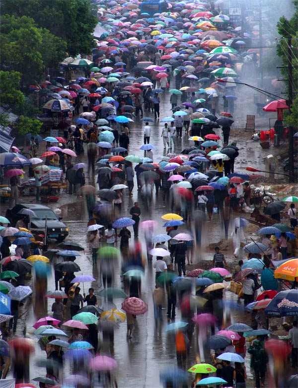 雨中缤纷 摄影 xzh000001