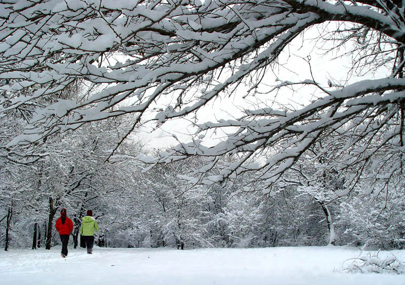 踏雪 摄影 changjie