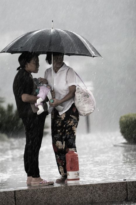 风雨人生 摄影 观天下